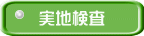 実地検査